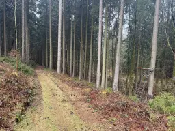 Eigendomsperceel van 2.172 m² nabij vakantiehuizen, Annaberg - Duitsland