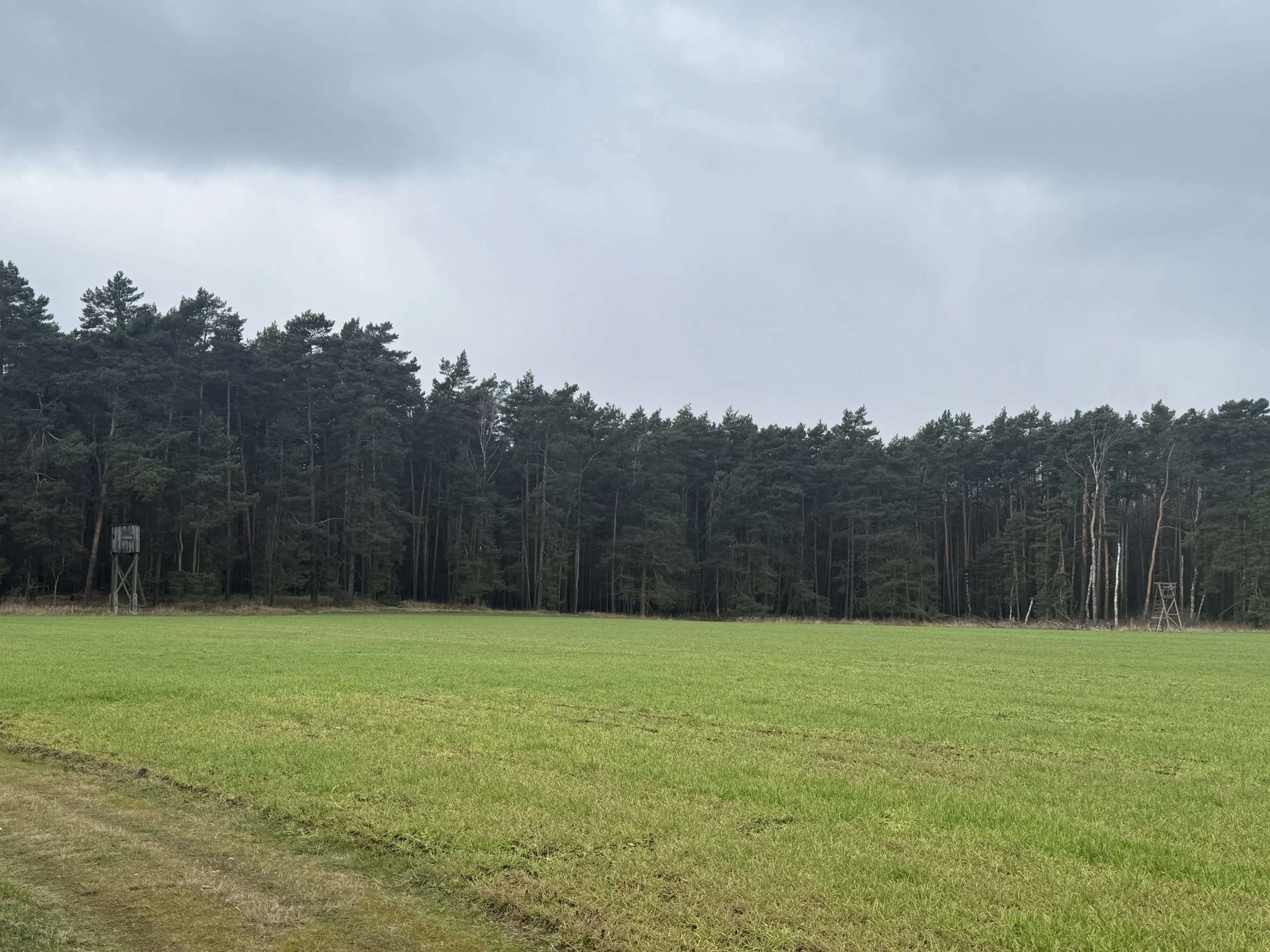 2 Eigendomspercelen van totaal 1.825 m² in Leippe - Duitsland