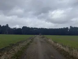 2 Eigendomspercelen van totaal 1.825 m² in Leippe - Duitsland