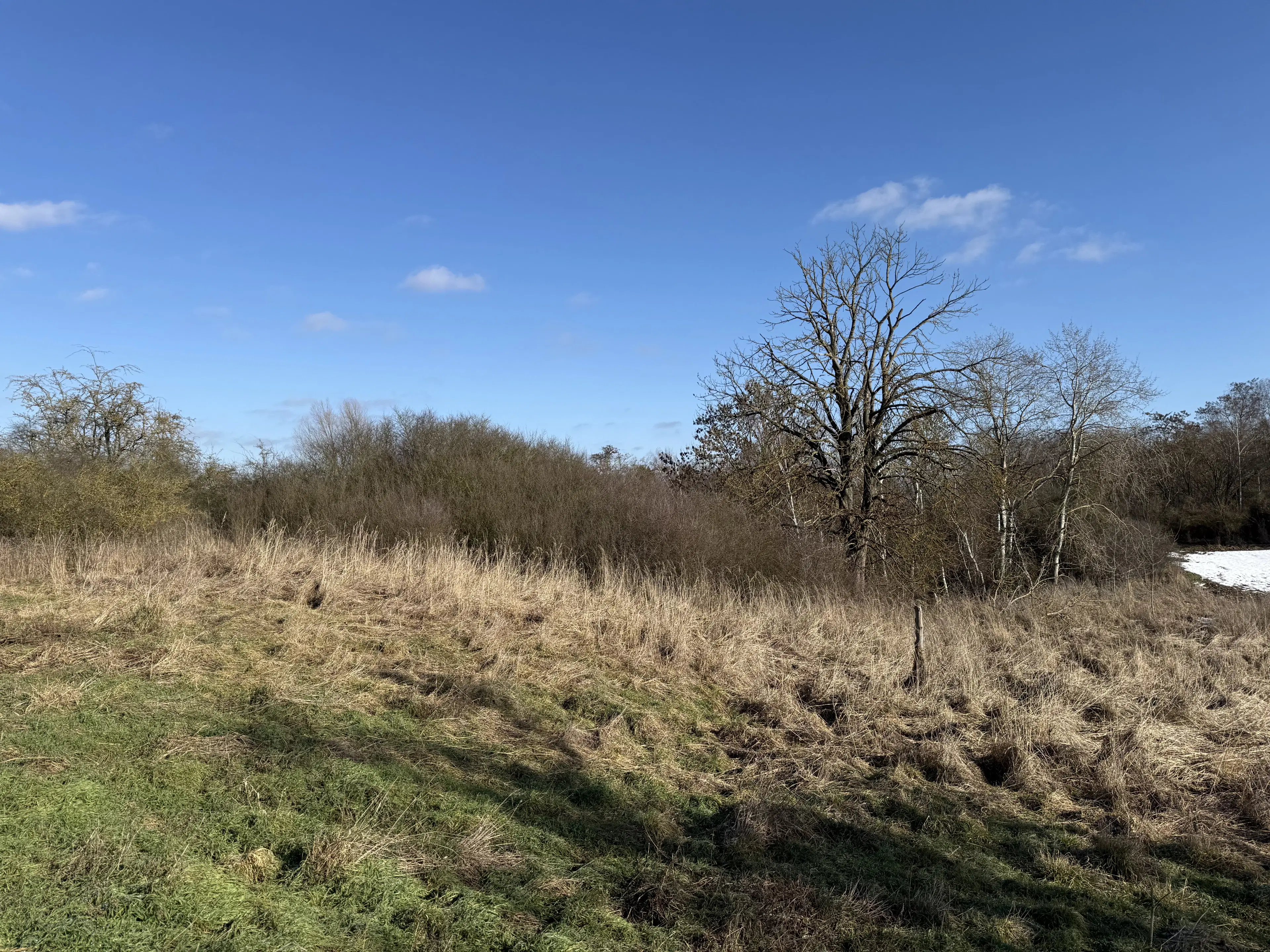 Eigendomsperceel van 1.240 m² in Emden, Duitsland