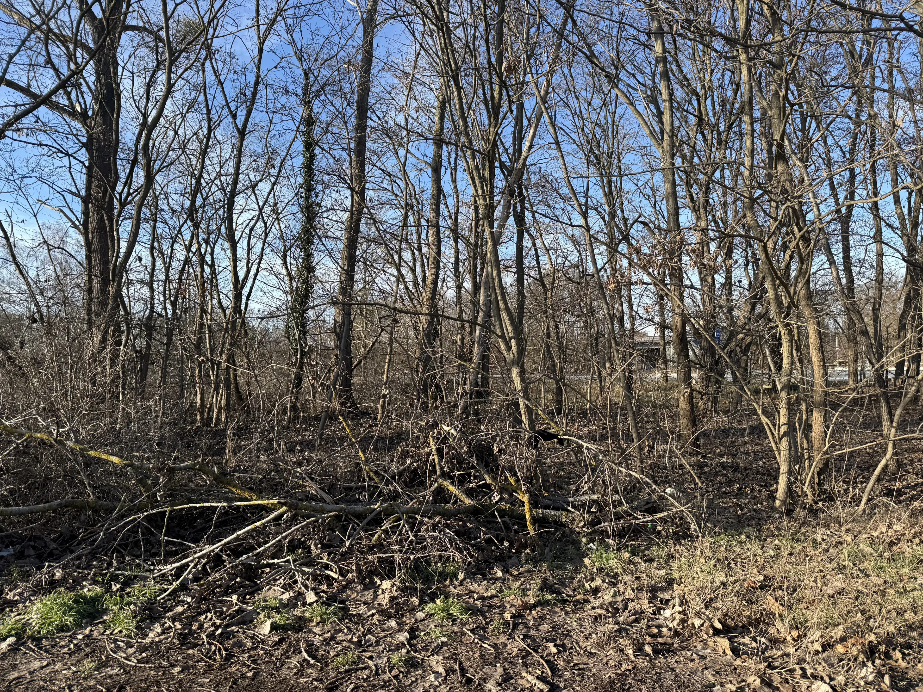 Eigendomsperceel van 616 m² nabij Potsdam - Duitsland