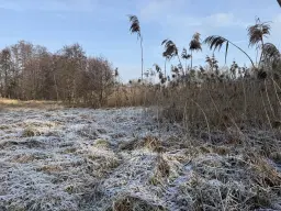 1.022 m² eigendomsperceel in de regio Döbeln - Duitsland