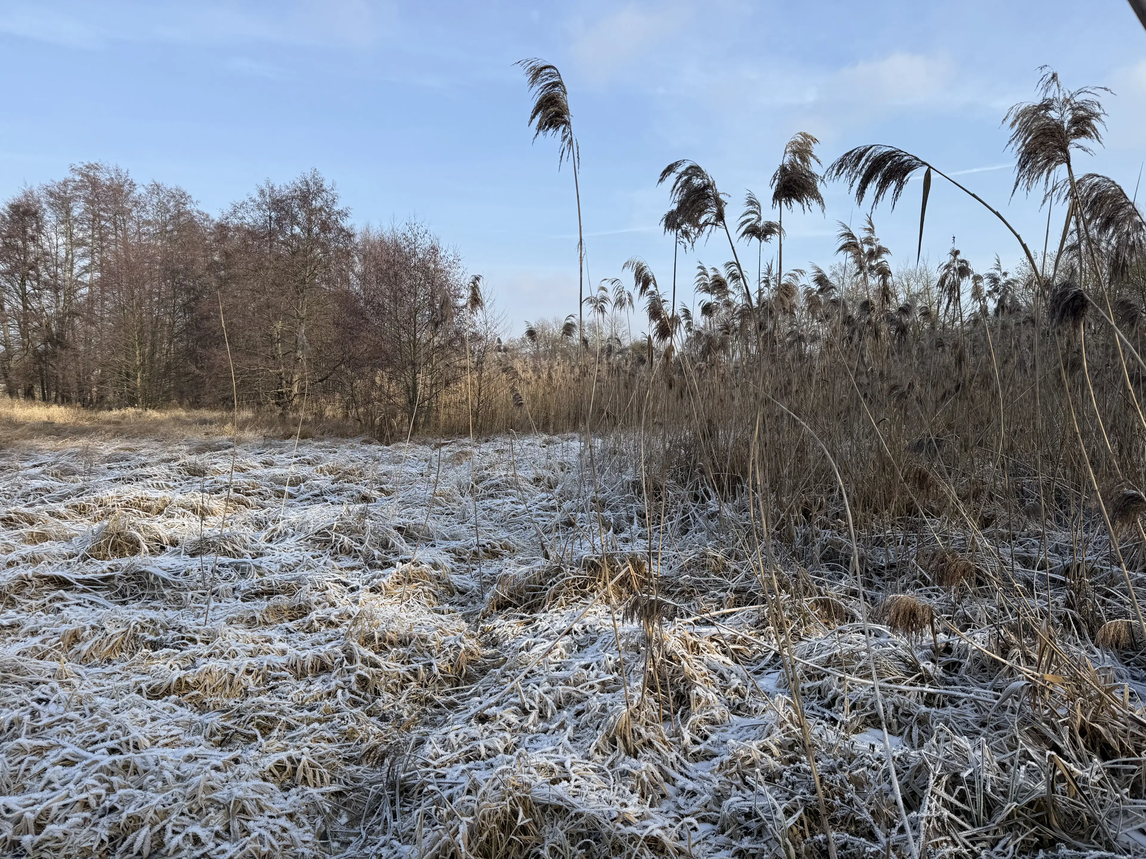 1.022 m² eigendomsperceel in de regio Döbeln - Duitsland