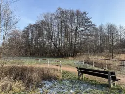 1.022 m² eigendomsperceel in de regio Döbeln - Duitsland