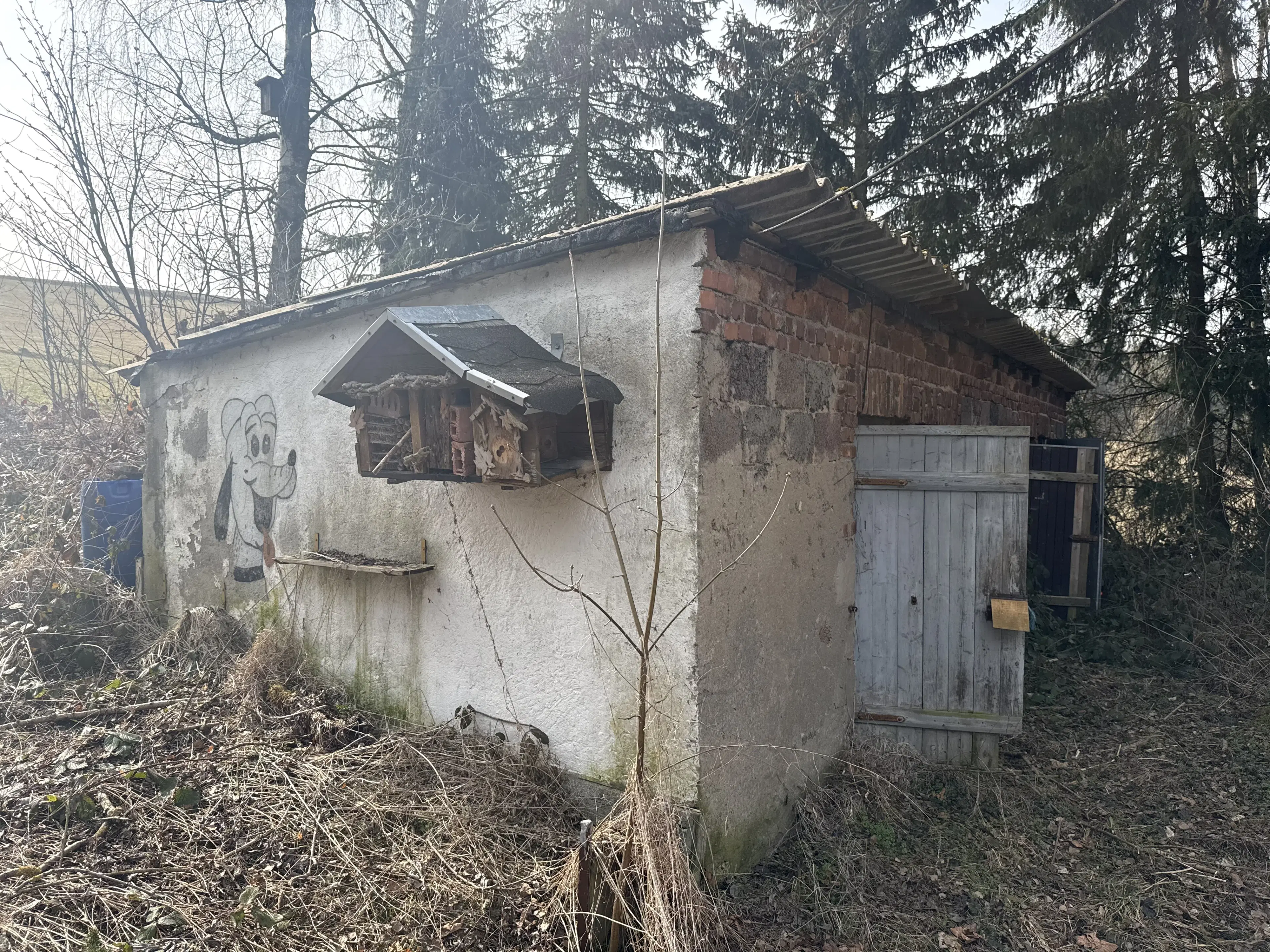 Woonhuis met 5 eenheden op perceel van 1.803 m² in Nassau, Freiberg, nabij Frauenstein - Duitsland