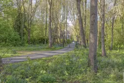 Landgoed 'Olaertsduyn' te Rockanje