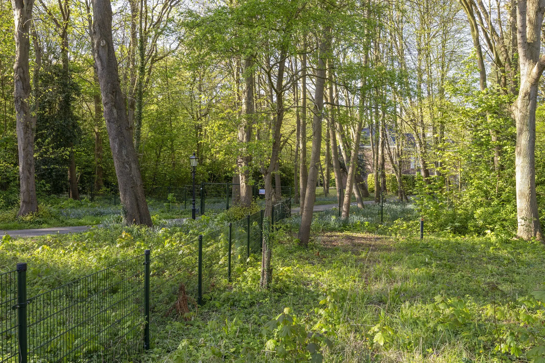 Landgoed 'Olaertsduyn' te Rockanje