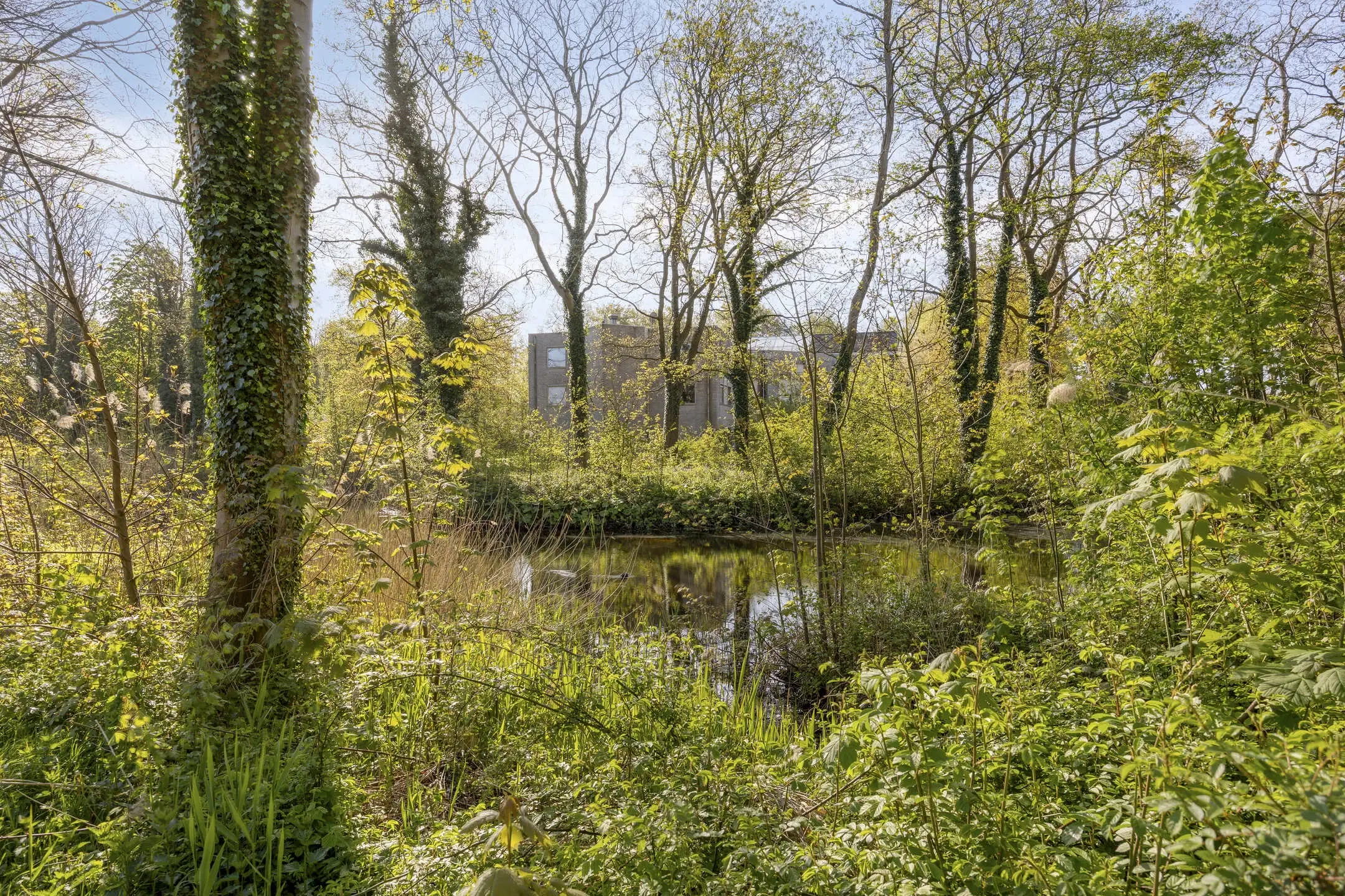 Landgoed 'Olaertsduyn' te Rockanje