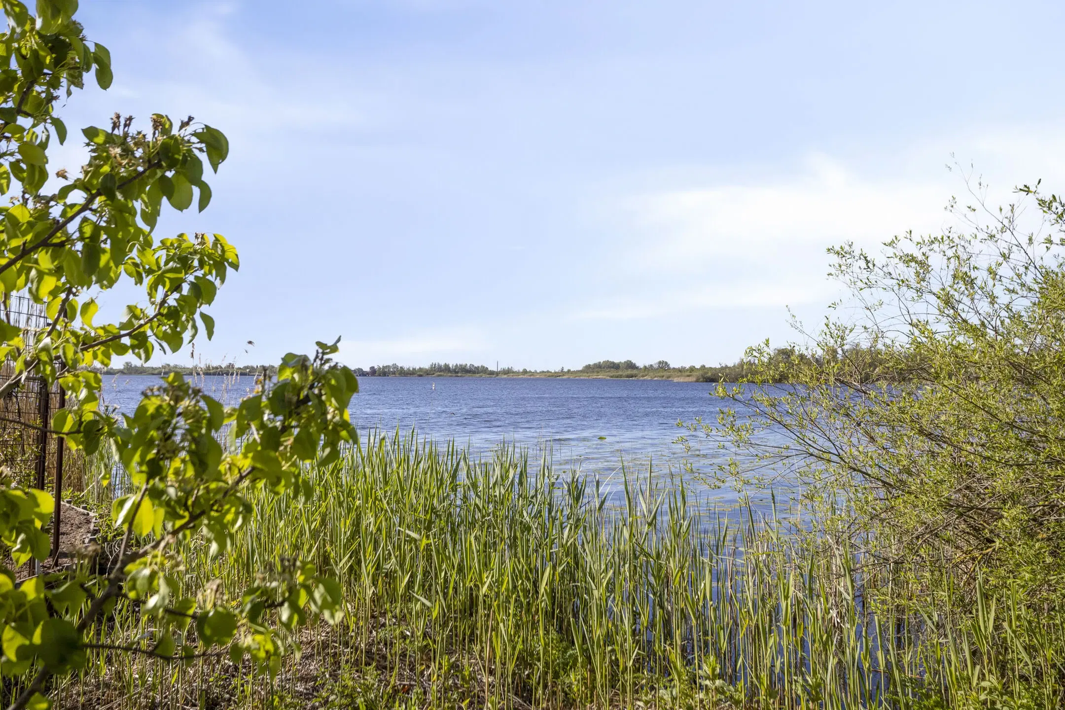 Woonboot genaamd De Witte Spin te Loosdrecht