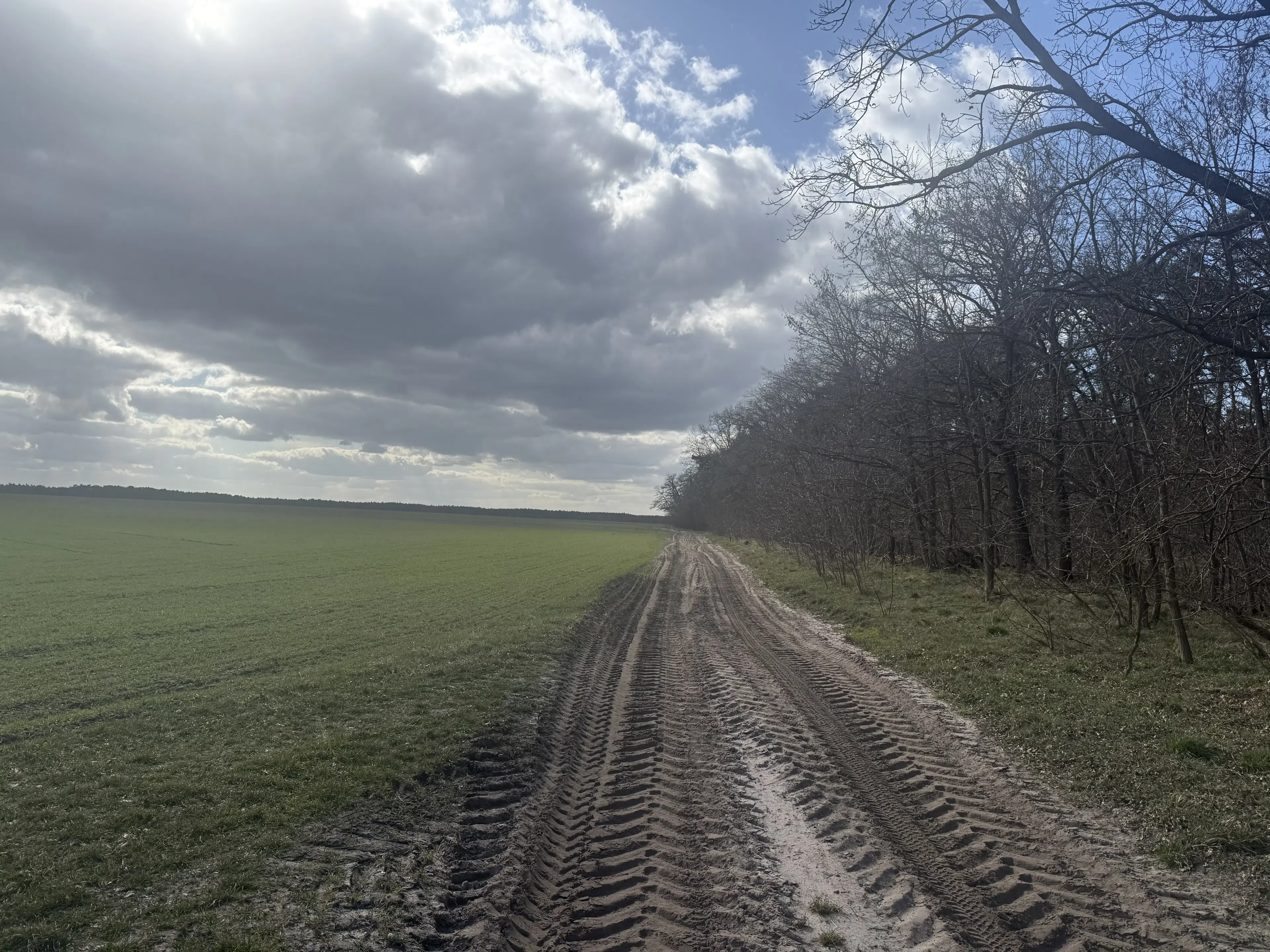Eigendomsperceel van ca. 3.4 ha in Garlitz, nabij Berlijn - Duitsland