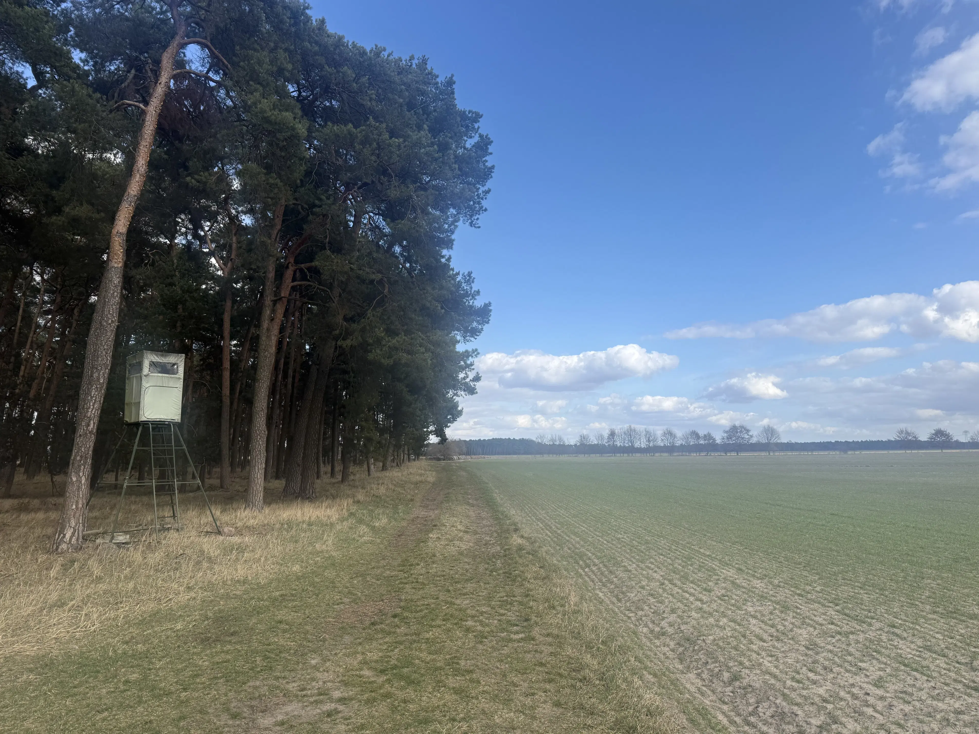 Eigendomsperceel van ca. 3.4 ha in Garlitz, nabij Berlijn - Duitsland