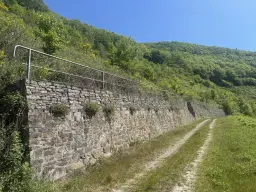 Voormalig wijngaardperceel van 2.958 m² in Zell, Cochem - Duitsland