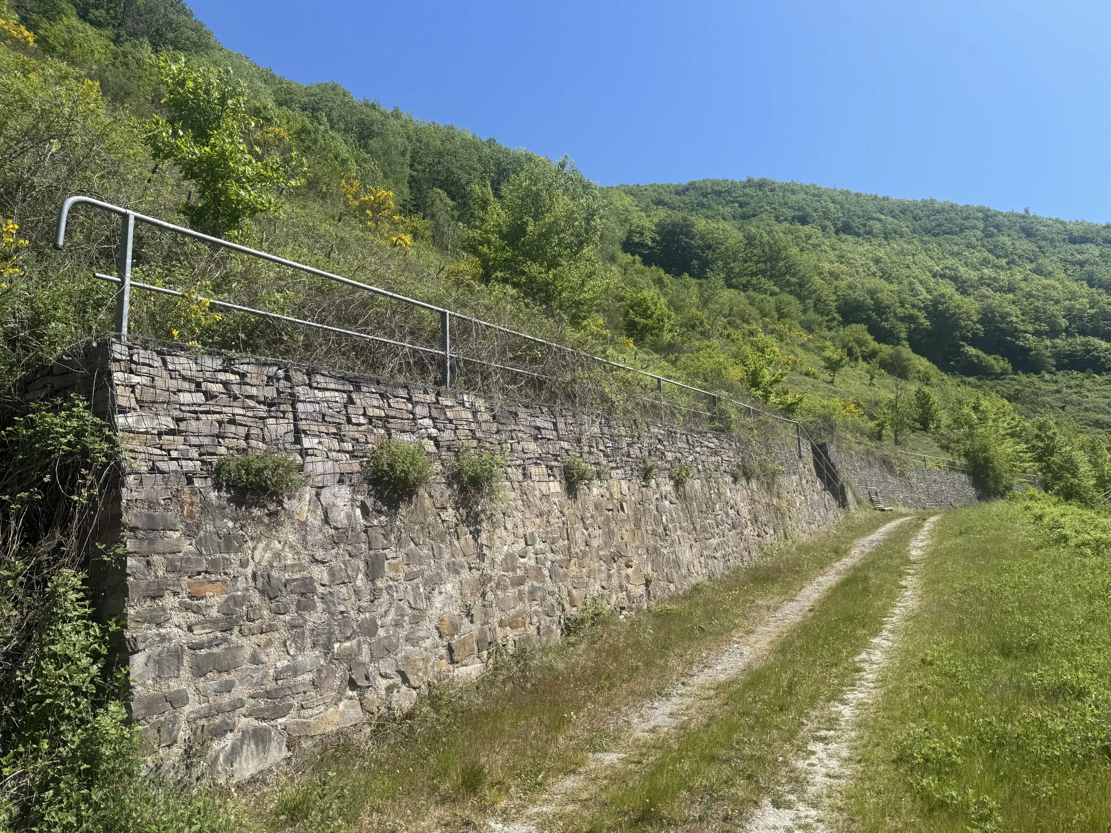 Voormalig wijngaardperceel van 2.958 m² in Zell, Cochem - Duitsland