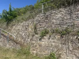 Voormalig wijngaardperceel van 2.958 m² in Zell, Cochem - Duitsland