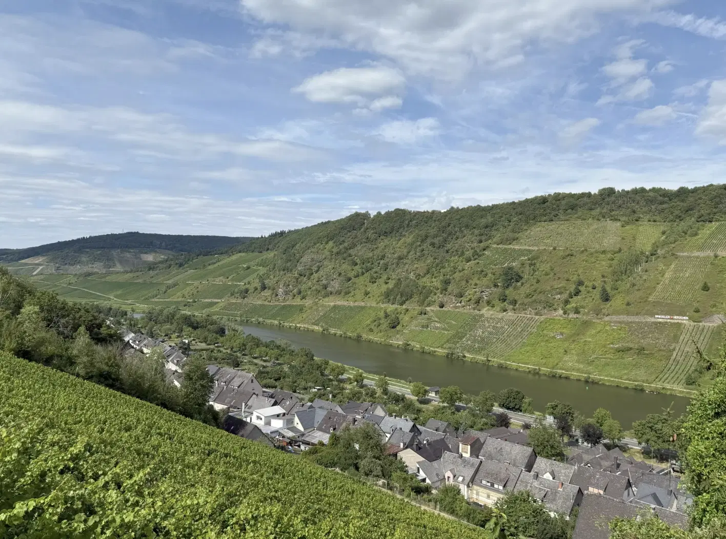 Voormalig wijngaardperceel van 2.958 m² in Zell, Cochem - Duitsland