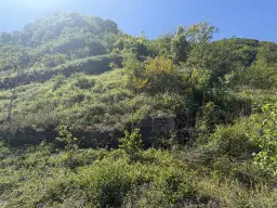 586 m² eigendomsperceel aan de oevers van Cochem - Duitsland