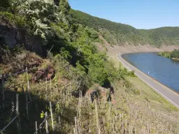 586 m² eigendomsperceel aan de oevers van Cochem - Duitsland