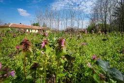 Perceel van 2.090 m² + Gezinswoning + Bijgebouwen - Karaisen, Veliko Tarnovo - Bulgarije