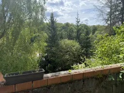 3 wooneenheden op perceel 1.398 m² in Gerstungen, nabij Eisenach - Duitsland