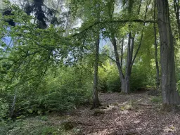 15.301 m² eigendomsperceel in Waldheim - Duitsland
