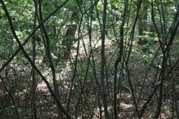 Bosgrond 30.194 m² - Investering & Natuurverblijf, Regio Troyan - Bulgarije