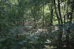 Bosgrond 30.194 m² - Investering & Natuurverblijf, Regio Troyan - Bulgarije