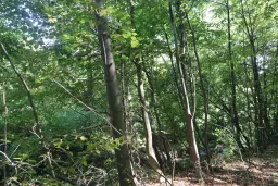 Bosgrond 30.194 m² - Investering & Natuurverblijf, Regio Troyan - Bulgarije