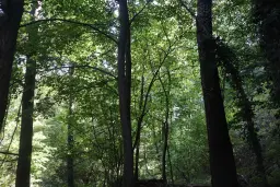 Bosgrond 30.194 m² - Investering & Natuurverblijf, Regio Troyan - Bulgarije