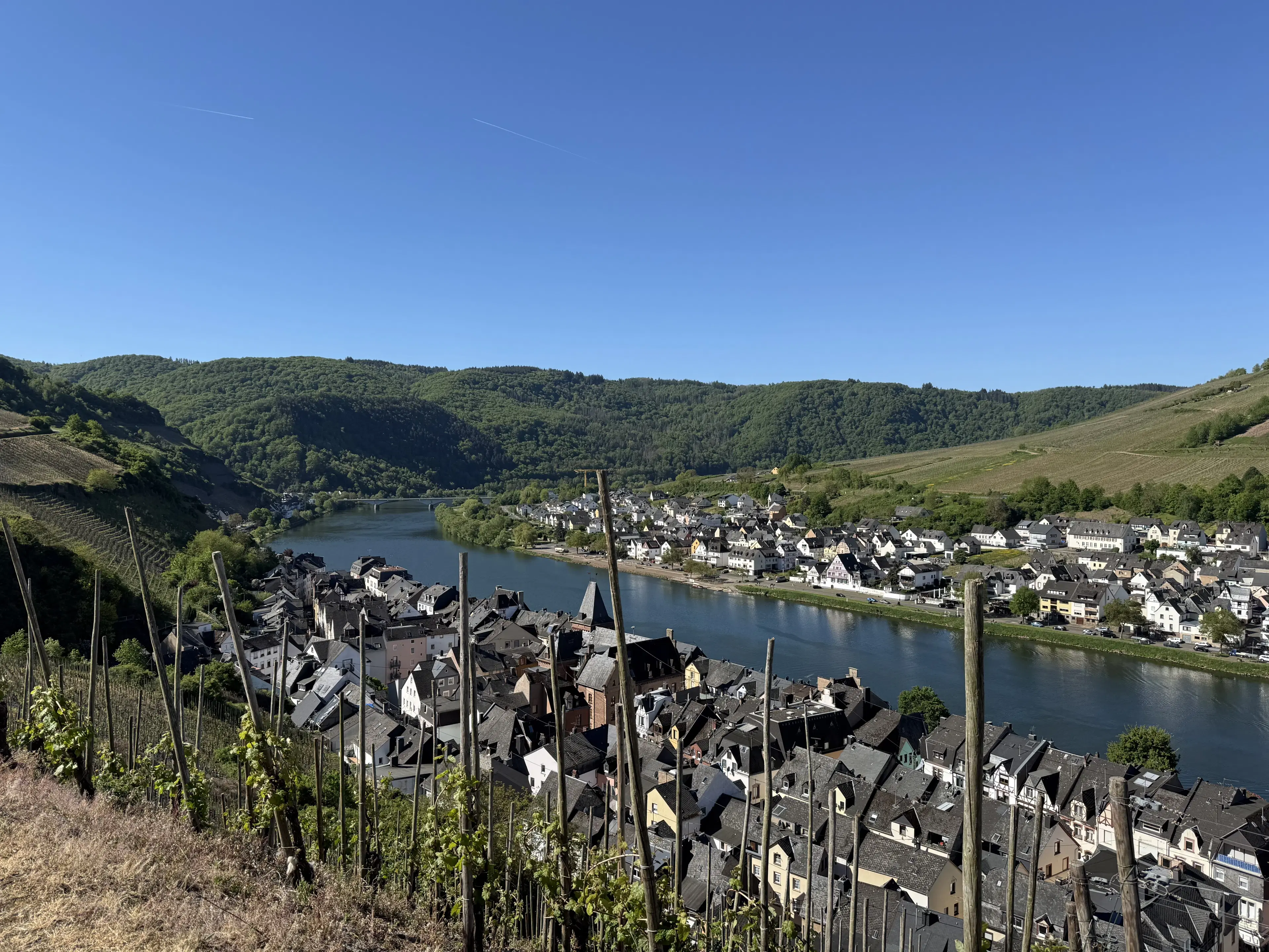 Wijngaard met Riesling, totaal 1.445 m² in Zell, Cochem - Duitsland