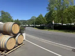 Wijngaard met Riesling, totaal 1.445 m² in Zell, Cochem - Duitsland