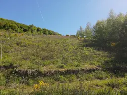 Voormalig wijngaardperceel van 1.688 m² in Zell, Cochem - Duitsland