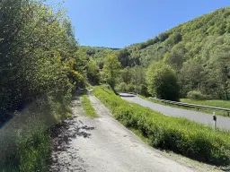 Voormalig wijngaardperceel van 1.688 m² in Zell, Cochem - Duitsland