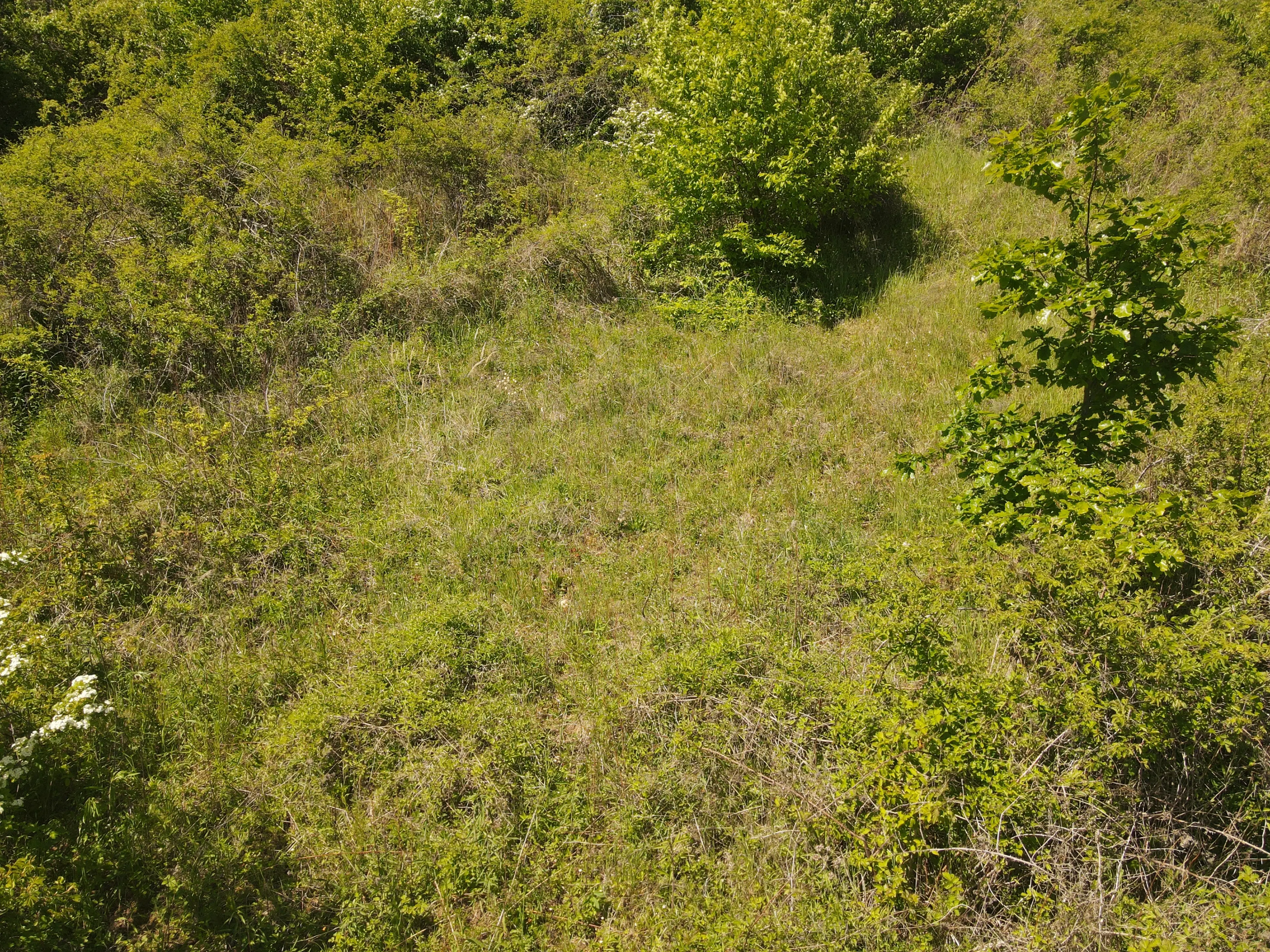 Recreatieperceel van 1.679 m² nabij Cochem - Duitsland