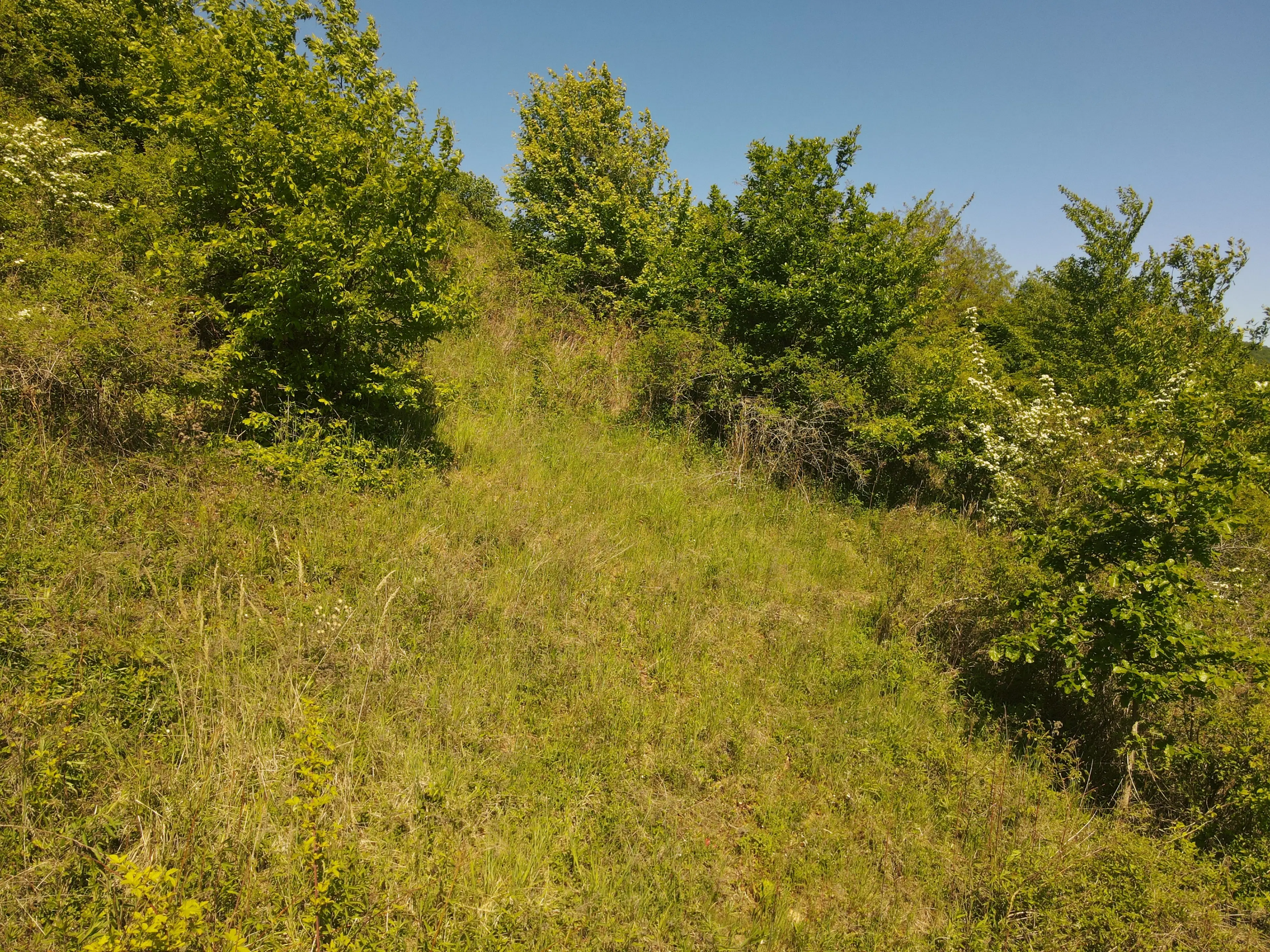 Recreatieperceel van 1.679 m² nabij Cochem - Duitsland