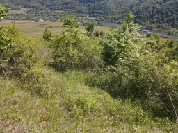 Recreatieperceel van 1.679 m² nabij Cochem - Duitsland