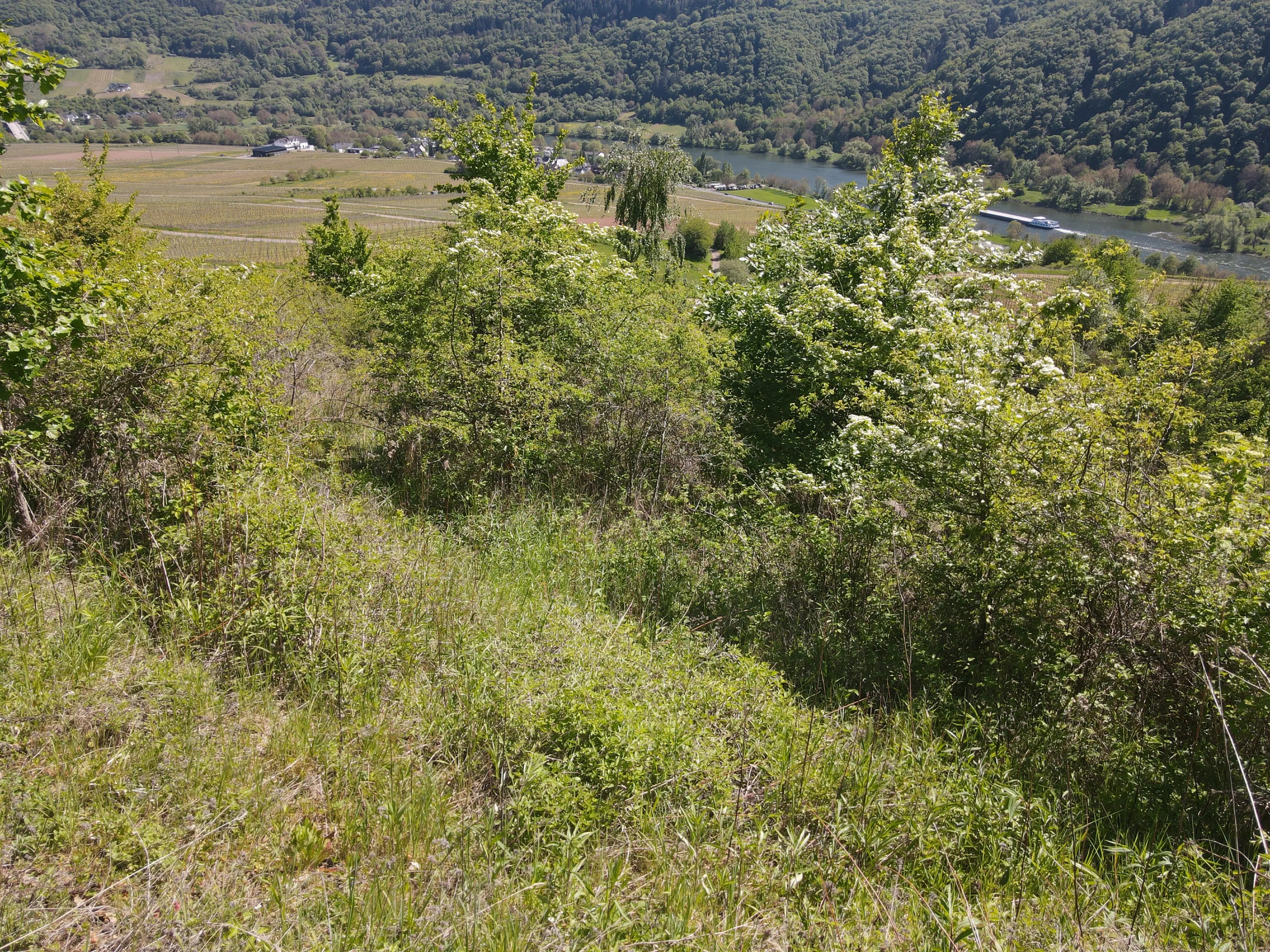 Recreatieperceel van 1.679 m² nabij Cochem - Duitsland