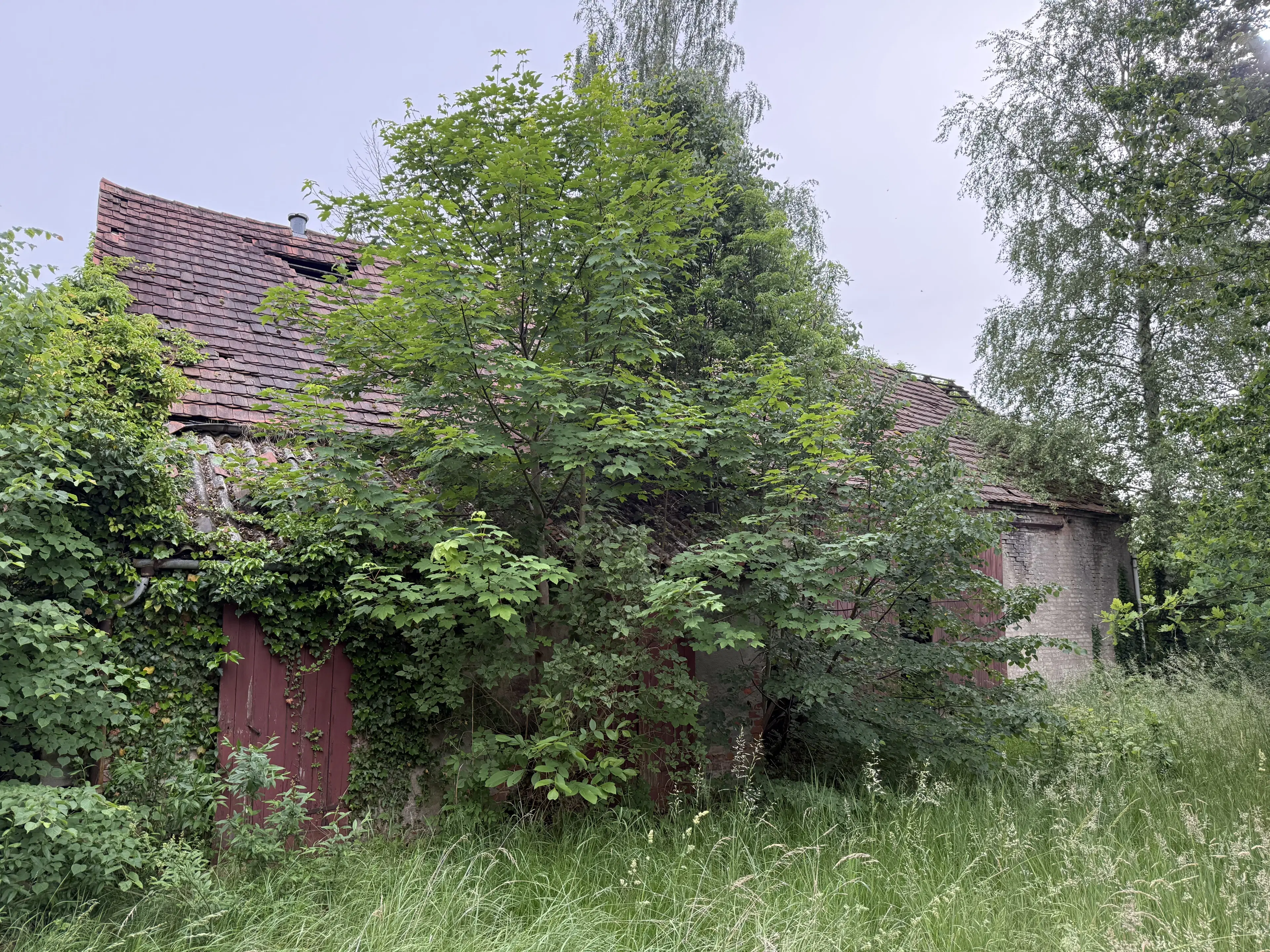 Woonhuis met schuur op 1.309 m² perceel in Jänkendorf - Duitsland