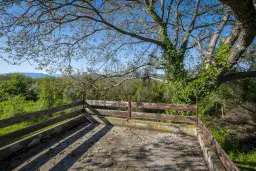 Perceel van 1.364 m² met gezinswoning en bijgebouwen in Damyanovo, Gabrovo - Bulgarije