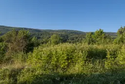 Perceel van 7.857 m² met 2-verdiepingen gezinswoning en bijgebouwen, met uitzicht nabij Veliko Tarnovo - Bulgarije