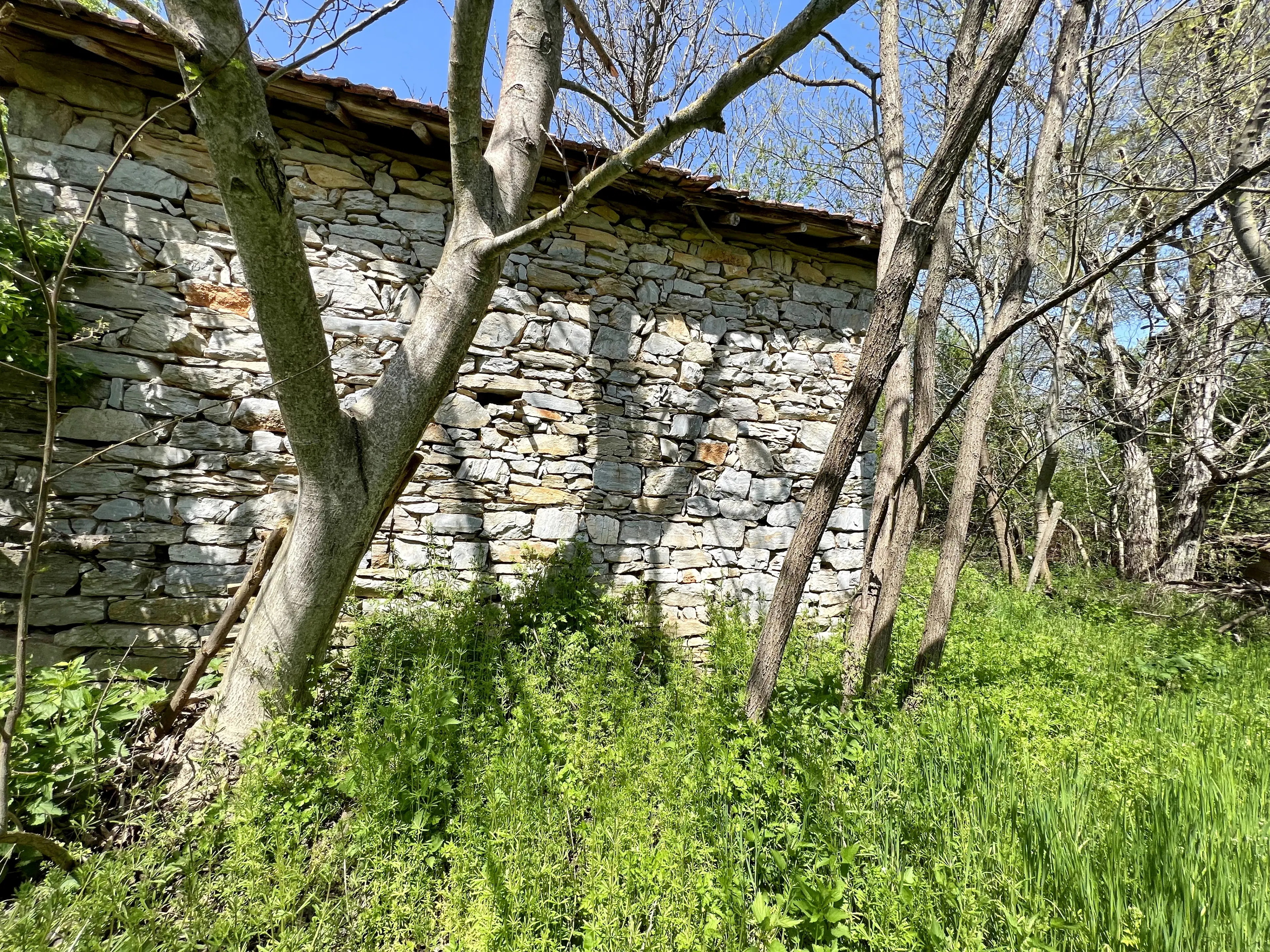 PARTNERVEILING - Farm house, Dennitsa (Bulgarije) 