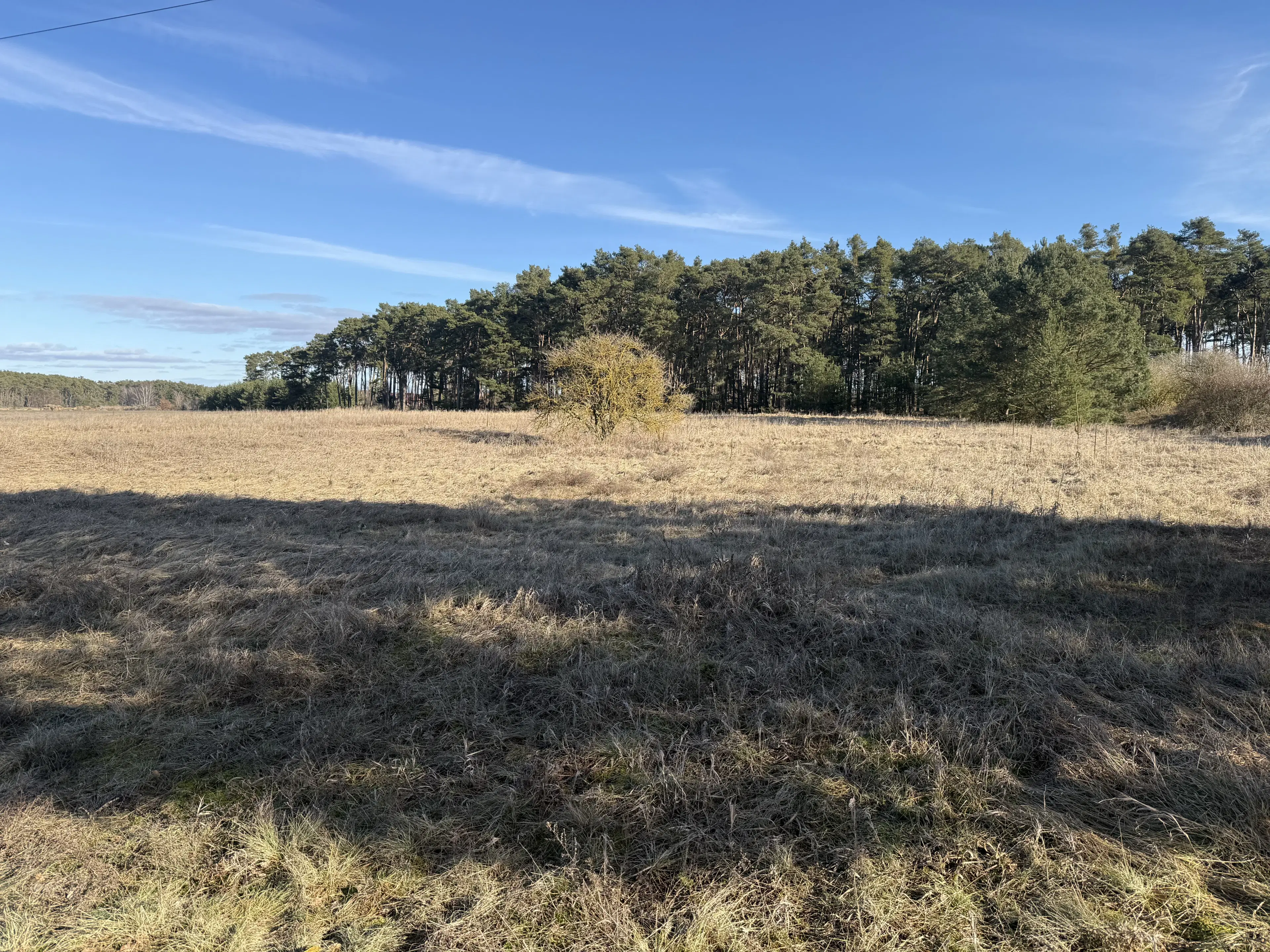 ca. 1.75 ha terrein naast natuurcamping Ragösen - Fläming - Duitsland
