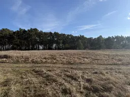 ca. 1.75 ha terrein naast natuurcamping Ragösen - Fläming - Duitsland