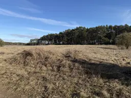 ca. 1.75 ha terrein naast natuurcamping Ragösen - Fläming - Duitsland