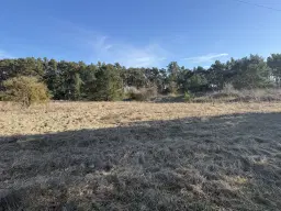 ca. 1.75 ha terrein naast natuurcamping Ragösen - Fläming - Duitsland