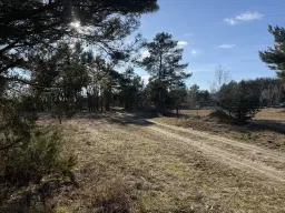 ca. 1.75 ha terrein naast natuurcamping Ragösen - Fläming - Duitsland