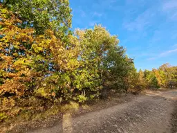 PARTNERVEILING - 19.400 sqm Forest, Burgas (Bulgarije)