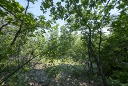 23.204 m² gemengd loofbos in Bela, Belogradchik - Bulgarije