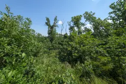 23.204 m² gemengd loofbos in Bela, Belogradchik - Bulgarije