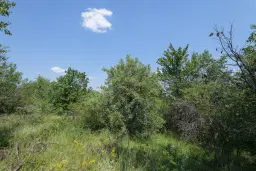 23.204 m² gemengd loofbos in Bela, Belogradchik - Bulgarije