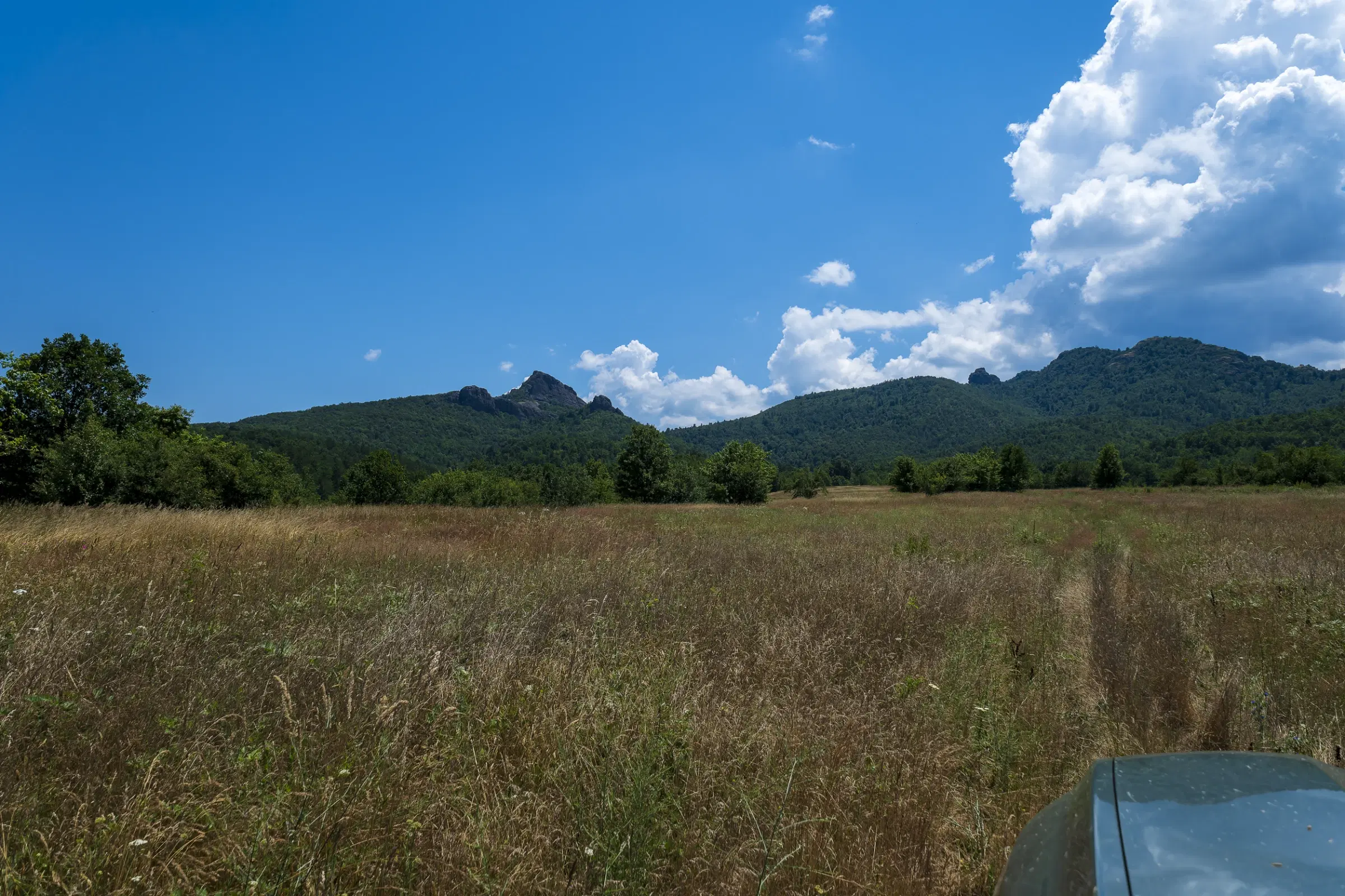 Gemengd loofbos 26.802 m² in Belogradchik - Bulgarije